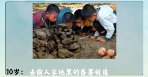 人生重开模拟器配图版无广告版